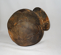 平野区長原遺跡で発見された関東の土師器壺