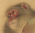 桃に猿図（部分）　森狙仙筆　大阪歴史博物館蔵