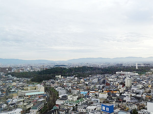 堺市役所展望台から見える大山古墳（仁徳陵）